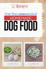 rezept tierarzt empfohlene hausgemachte hundefutter