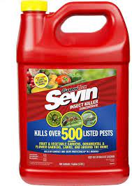I agree that you need to continue vacuuming. Buy Sevin 100530124 Gardentech Insect Killer Concentrate 1gal 1 Gallon Online In Vietnam B07dxj7gtw