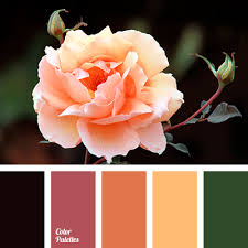 Sylvia on january 22, 2012 at 10:31 am. Yellow Orange Color Palette Ideas