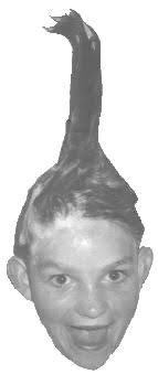 AUTHOR AND ACKNOWLEDGEMENTS