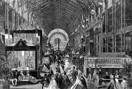 Image result for Tinnea antiscorbutica