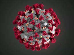 Leonard coldwell, also referred as dr. Erster Fall Von Coronavirus In Paraguay Registriert Wochenblatt