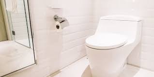 Com'è fatto il wc senza scarico e come funziona? — idealista/news