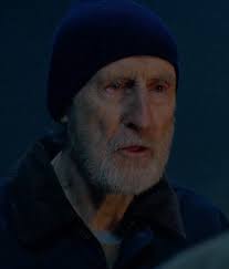 Murder in a Small Town Season 1: Cast and Character Guide