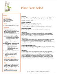 First Grade Plant Parts Lesson Plan Full Lesson Http Captainplanetfoundation Org Learning Garden Less First Grade Lessons Parts Of A Plant Guiding Questions