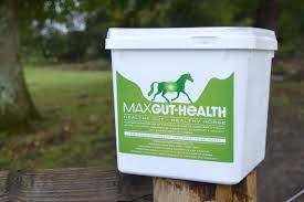To keep your horse in good health, learn about diet and nutrition, diseases, reproductive health, proper care of hooves and more. All Articles Max Gut Health 4 5 Kg
