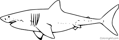 Discovery channel's annual shark week is back. Very Easy White Shark Coloring Page Coloringall