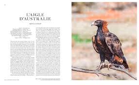 Découvrez les 10 plus grands lacs du monde ! Amazon Fr Aigles Du Monde 70 Especes De Legende Unwin Mike Tipling David Livres