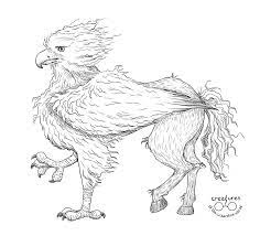The harry potter books and films gained immense popularity, success and even critical acclaim worldwide. Harry Potter Buckbeak Drawing Easy Novocom Top