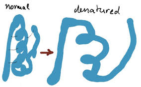 Can you hear those people? Time Vs Temperature What Changes What Seasoned Advice