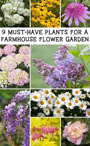 92+ amazing kitchen backsplash dark cabinets. 9 Must Have Plants For A Farmhouse Flower Garden Hello Farmhouse