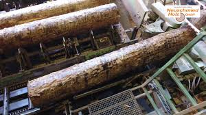 Besondere wirtschaftliche bedeutung erlangte das zigarrenmacherhandwerk und die automobilindustrie. Neuschmied Holz Gmbh Youtube