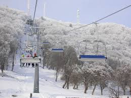 In piatra neamt, apele curgatoare cele mai importante sunt bistrita si cuiejdi. Centrul De Informare Èi Promovare TuristicÄ In Municipiul Piatra NeamÈ Cod Smis 37815