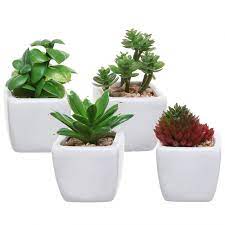 Dollhouse furniture miniature the littles tilt top table with lamp & plant 1980s. 30 Office Desk Plants To Brighten Your Small Business Small Business Trends