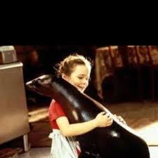 For everybody, everywhere, everydevice, and everything Andre The Seal Childrens Movies Movies Childhood Movies