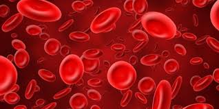 Fungsi Hemoglobin Dalam Mengantar Oksigen Ke Seluruh Tubuh