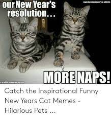 More Naps Next Year Funny Cat Memes Cat Memes Funny