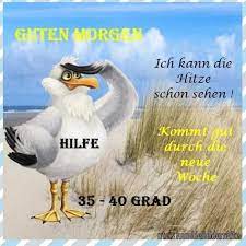 Share a gif and browse these related gif searches. 33 Hitze Ideen In 2021 Hitze Lustig Lustig Hitze