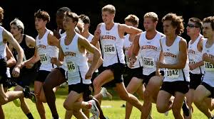 Shane Ivy - 2023 - Cross Country - Salisbury University