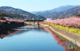 Places taipei, taiwan restaurantasian restaurantjapanese restaurant 靜岡勝政日式豬排. éœå²¡ æ­ä¹˜ä¼Šè±†æ€¥åŽ»è³žæ²³æ´¥æ«» æˆ'æ‰ä¸åŽ»ä½ åŽ»éŽçš„æ—¥æœ¬å'§