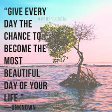 20 Uplifting Good Morning Quotes With Beautiful Images That Will Improve Your Day Quotes And Sayi Good Morning Quotes Morning Quotes Life Is Beautiful Quotes