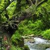 Tropical rainforests have climates that receive high temperatures and high humidity throughout the year. 1