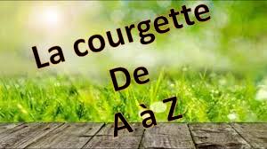 L Avocatier Culture Semis Plantation Taille Entretien Et Recolte Youtube