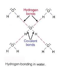 H2o The Mystery Art And Science Of Water The Chemistry Of Water Structure Chemistry Teaching Chemistry Covalent Bonding