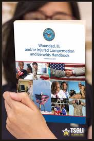 The Compensation And Benefits Handbook Compensation Benefit United States Armed Forces