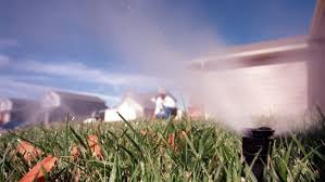 Find out how watering your grass can keep your lawn lush and beautiful! Mowing To Weeding How To Care For A Colorado Lawn From Spring To Fall