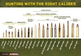 rigorous bullets caliber chart rifle cartridge sizes calibre