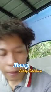 Bobby Goldsboro Honey
