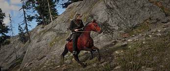 Those categories are riding, draft, work, race and war. Found A Red Chestnut Arabian In Single Player Reddeadredemption