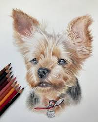 Wildlife And Domestic Animal Drawings Animal Drawings Dog Art Pencil Sketches Of Animals