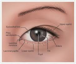 This is a faster, one step procedure that does not carry the risk of. What Makes Southeast Asians Without Epicanthic Folds Look Asian Quora