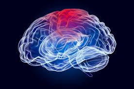 Traumatic Brain Injury - Symptoms, Causes and Treatment - Apollo Blog