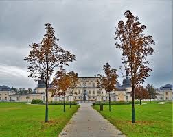 Ország hetedik legnagyobb kastélya, a magyarországi kora barokk építészet kiemelkedő emléke. Edelenyi L Huillier Coburg Kastely Https Kozelestavol Hu Edeleny Lhuillier Coburg Kastely Castle Hungary Palace