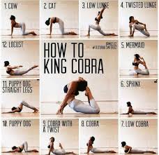 Strike The Right Way Master King Cobra Pose Strike Right Way Master King Cobra Pose Yoga Exercise Fi Easy Yoga Workouts Yoga Training Yoga Postures