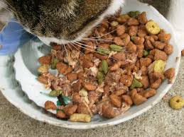 The golden hue comes from a rich blend of curry spices, which definitely. Purchase Natural Balance Venison Cat Food Recall Up To 63 Off