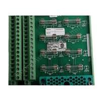 Triconex 9668-110 non-commoned relay output Termination ...