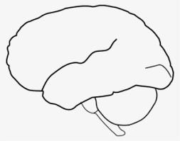 Digital art 1080p, 2k, 4k, 5k hd wallpapers free download, these wallpapers are free download for pc, laptop, iphone, android phone and ipad desktop Brain Clipart Outline Drawing Of The Brain Png Image Transparent Png Free Download On Seekpng
