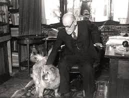 Known for its super personable. Top 15 The Most Famous Dogs In History Petpress