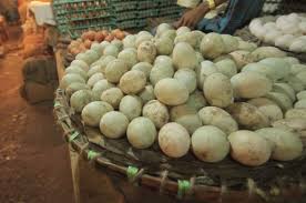 .telur rebus jangan lupa like, koment dan subscribe video ini agar kamu tidak ketinggalan update informasi lainnya видео diet 10 kg seminggu dengan diet telur. Food Systems The Shifting Role Of Poultry In Agriculture And Diets One Health Poultry Hub