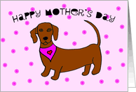 We did not find results for: Mother S Day Cards From Pet From Greeting Card Universe