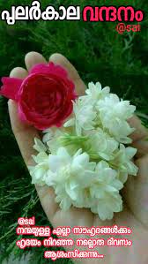 Pin By On Good Morning Good Morning Wishes Good Morning Images Good Morning Quotes