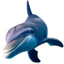 Common Dolphin Dolphin Images Cartoon Dolphin Images Dolphin Png Dolphins