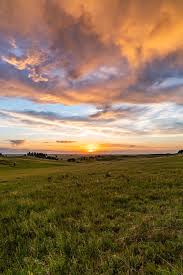 Download free baseball wallpapers and desktop backgrounds! Sunset Field Pictures Download Free Images On Unsplash