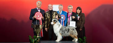 Check spelling or type a new query. Home Canine Unity