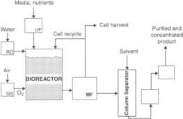 Bioprocessing An Overview Sciencedirect Topics