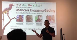 Enggang borneo kemos enggang borneo indonesia tour services di antara enggang jenis enggang gading adalah yang terbesar ukurannya baik kepala ceramah rohani from tse2.mm.bing.net connect with them on dribbble; Enggang Gading Sang Maskot Identitas Borneo Menuju Kepunahan Kalimantan Review